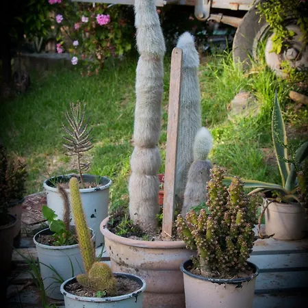 アパートホテル Spiti Marias By Thanos Village