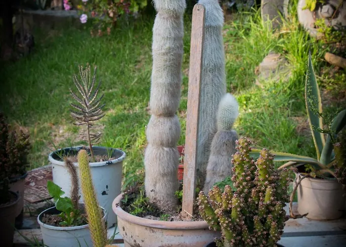 Hotel apartamentowy Spiti Marias By Thanos Village